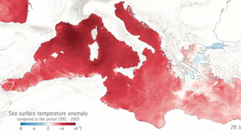 Boiling sea: the Mediterranean has exceeded 30 degrees in temperature