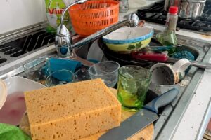 They rent a house for three nights and disappear without paying: “Deceived with the bank transfer trick, apartment devastated, two restaurants also scammed”