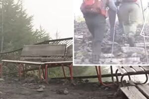 “I’ll be back in eight hours” and leaves her 7-year-old son alone on a bench to continue climbing the mountain