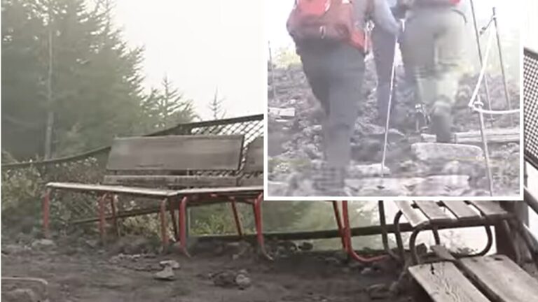 "I'll be back in eight hours" and leaves her 7-year-old son alone on a bench to continue climbing the mountain