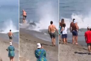 A “fin” among the swimmers then panic breaks out on the beach