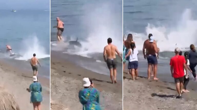 A "fin" among the swimmers then panic breaks out on the beach