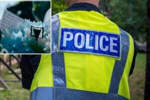 Car on the wrong side of the road hits the police car: two officers and five young people die