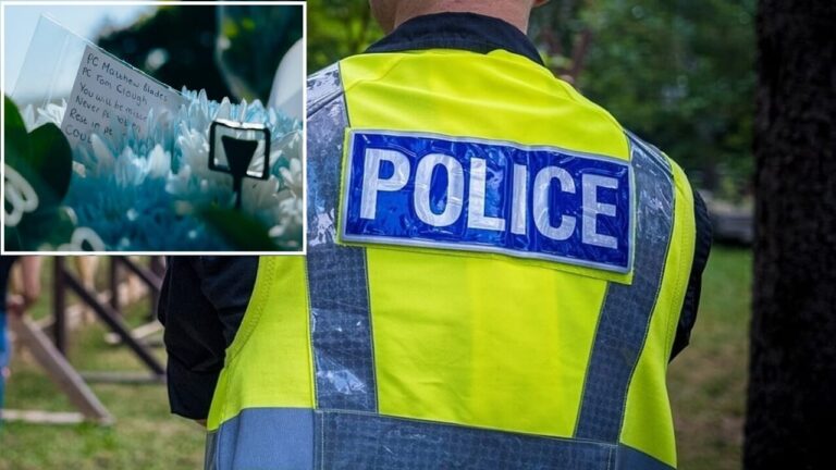 Car on the wrong side of the road hits the police car: two officers and five young people die