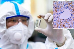 Historic turning point in the fight against tumors: the personalized mRNA vaccine against melanoma passes the decisive test