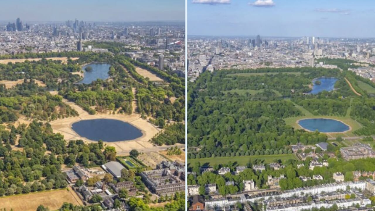Hyde Park has become one of the symbolic images of the drought