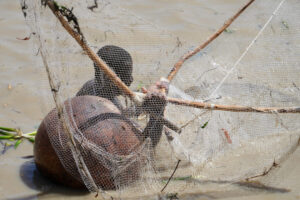 Massacre of children in Nigeria, overloaded boat capsizes: around 40 bodies recovered