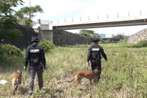“She’s fine, don’t look for her”: but it was a lie from the policeman. Found dead a kilometer from home, doubts about another 300 missing people