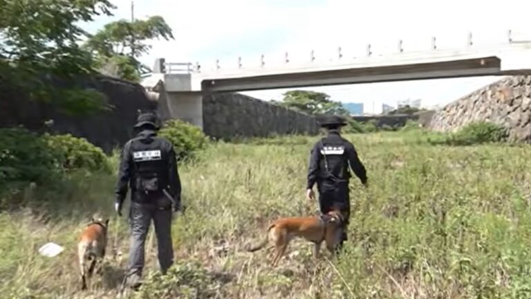 "She's fine, don't look for her": but it was a lie from the policeman. Found dead a kilometer from home, doubts about another 300 missing people