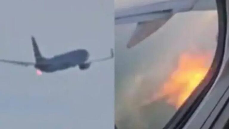 "The birds hit the engine": flames after take-off, plane with 181 passengers forced to emergency land