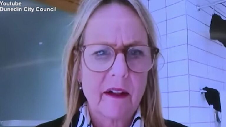 The city councilor who connects from the bathroom at home: "There is someone taking a shower and let's see your laundry"