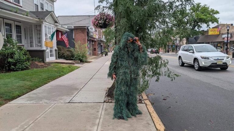 The policeman disguised as a plant instead of a speed camera: the fines are pouring in