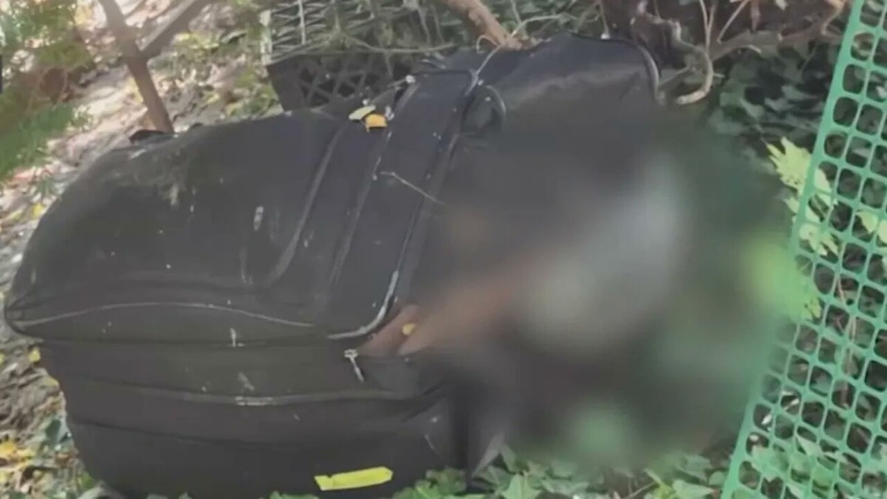"There is a woman's body in a suitcase": the special operation is triggered, but she was a sexy doll