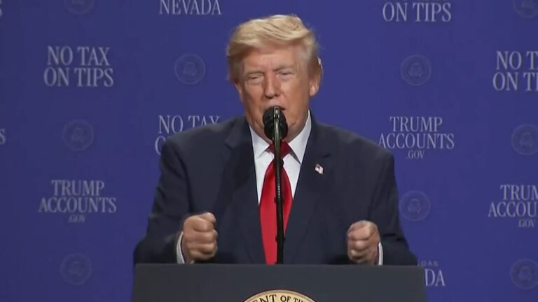Those who drive electric cars "have a disease", says Donald Trump