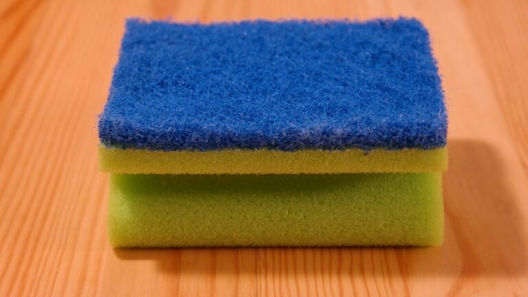 Up to 54 billion bacteria per cm² in kitchen sponges: should we worry? (Spoiler: just a little)