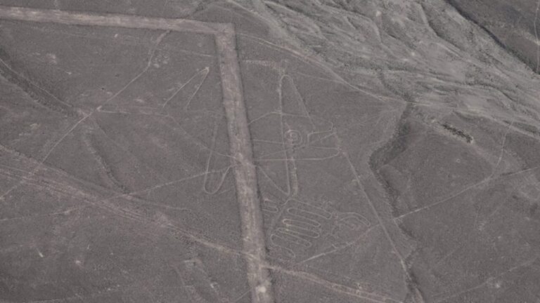 What are the Nazca Lines, the UNESCO site visited by the Italians who died in the plane crash in Peru. It's not the first accident