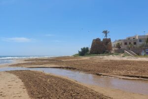 German couple buys a house by the sea in Sicily: “It cost 80 thousand euros, but in the end we spent 300 thousand. Now we are happy”