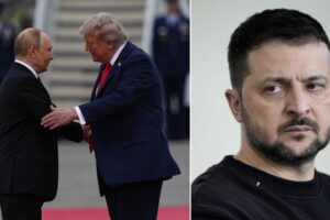 Putin orders three-day stop to attacks on Kiev, truce for visit of Trump’s envoys Witkoff and Kushner: Zelensky does the same