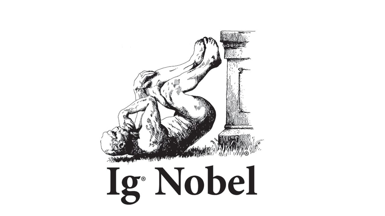 The winners of the IgNobel 2026, the prizes for the most absurd research of the year