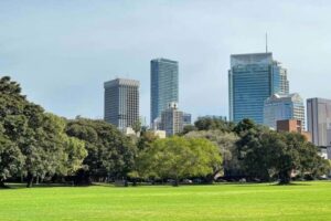 There is too little greenery in the heat adaptation programs of European cities