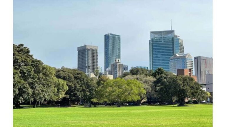 There is too little greenery in the heat adaptation programs of European cities