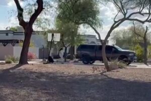 They go to a party and leave their son in the car: 5-year-old boy found dead after two and a half hours