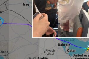 The mystery of the hijacked plane with 180 Israelis: the quarrel between pilots, the stabbing in the cabin and the terrorism hypothesis