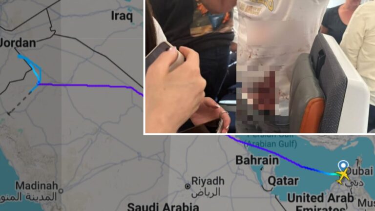 The mystery of the hijacked plane with 180 Israelis: the quarrel between pilots, the stabbing in the cabin and the terrorism hypothesis