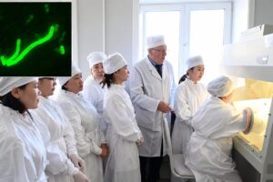 Pneumonic plague in Siberia, what we really know: the broken test tube, the Irkutsk laboratory and doubts about contagion