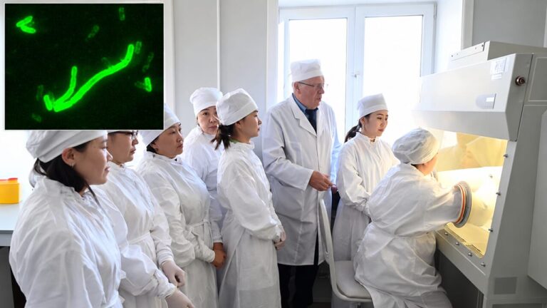Pneumonic plague in Siberia, what we really know: the broken test tube, the Irkutsk laboratory and doubts about contagion