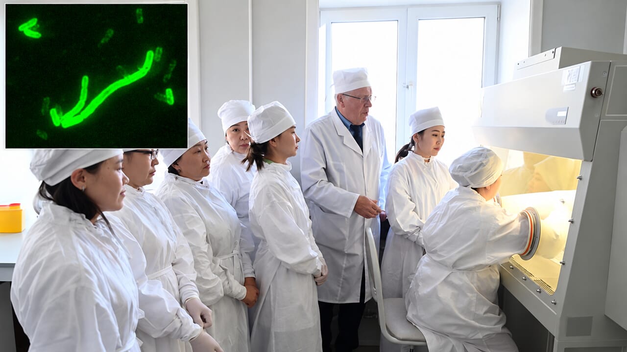 Pneumonic plague in Siberia, what we really know: the broken test tube, the Irkutsk laboratory and doubts about contagion