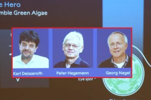 Nobel Prize for Medicine to Deisseroth, Hegemann and Nagel: who are the three scientists who understood how the brain organizes emotions and memories