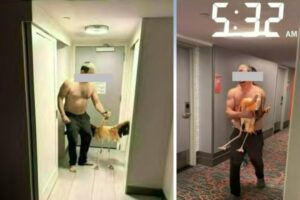 He brings a flamingo to his hotel room, risks four and a half years in prison: “I drank 30 to 40 beers”