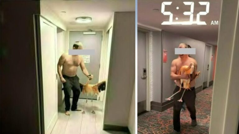 He brings a flamingo to his hotel room, risks four and a half years in prison: "I drank 30 to 40 beers"
