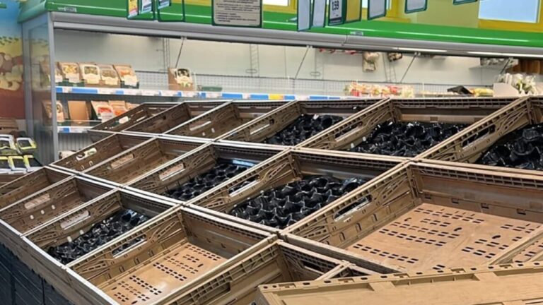 The effect of photos of empty supermarkets: families in panic, as in March 2020 with covid