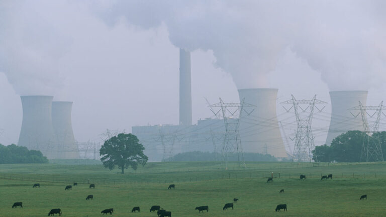 The UN alarm on greenhouse gases: "Unprecedented levels, impacts for centuries to come"