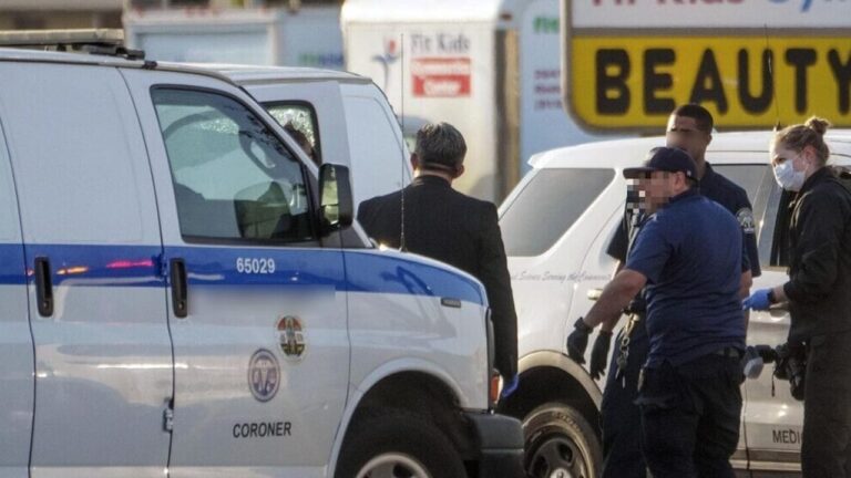 Adopted son poisons cancer-stricken mother for her inheritance: body buried on her property