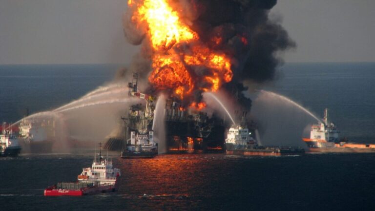 Gulf of Mexico "unliveable": sixteen years after the oil spill, life is far from recovering