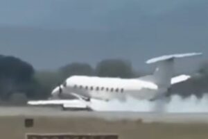 Plane hits a zebra on take-off, breaks the landing gear and lands “belly”