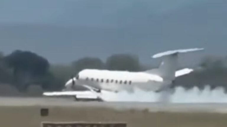 Plane hits a zebra on take-off, breaks the landing gear and lands "belly"