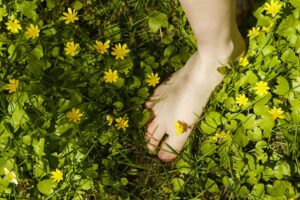 The bones in our feet would look very different if we lived barefoot