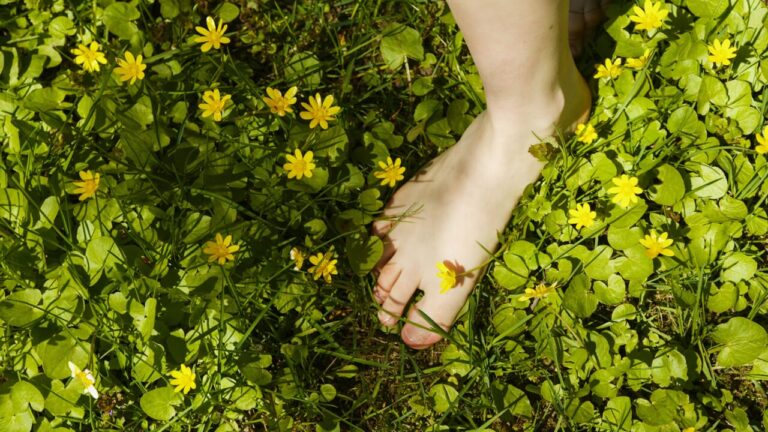 The bones in our feet would look very different if we lived barefoot