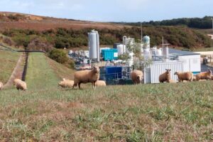 The gas hidden in Italian landfills: this is how waste becomes energy for homes