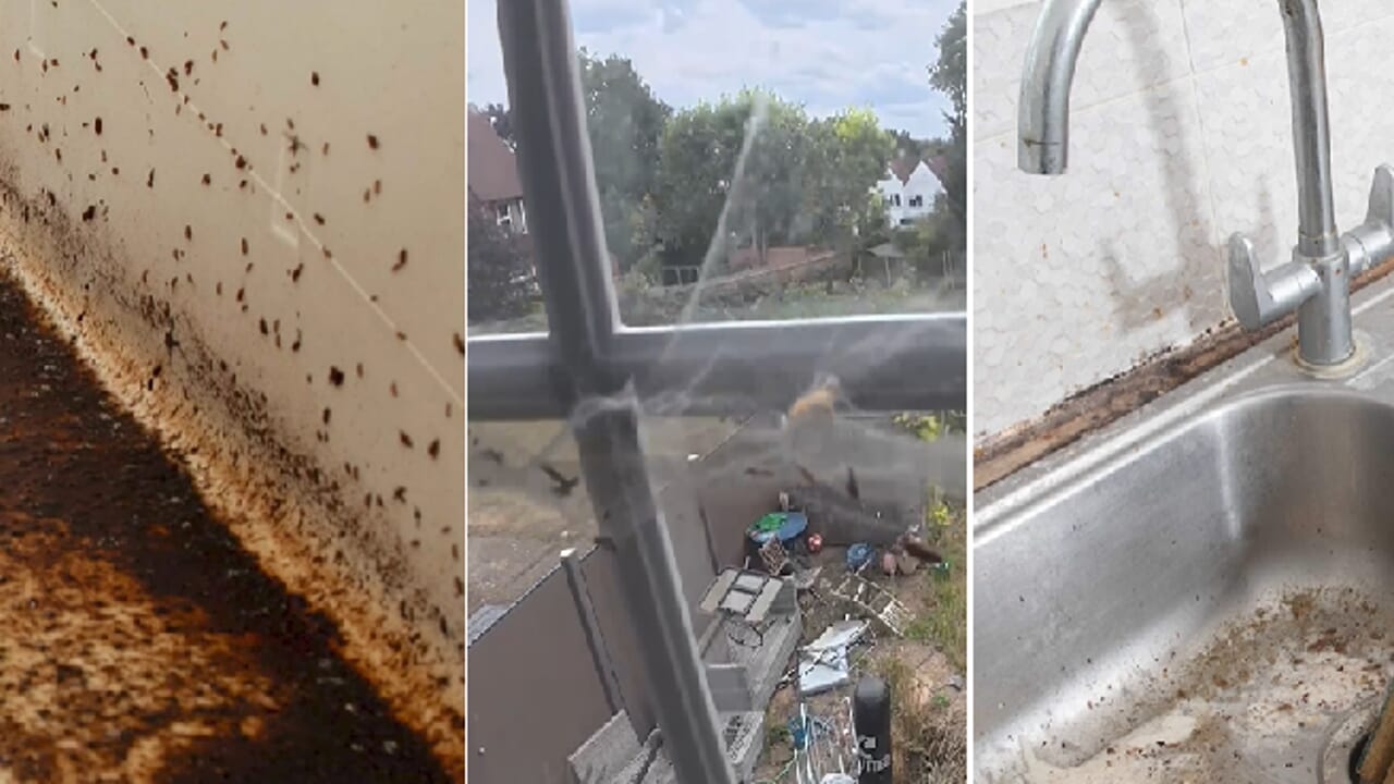 The tenant goes 3 years without paying and devastates the house: "She owes me 65 thousand euros in rent and has done damage for 26 thousand"