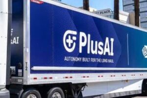 “There’s a treasure in there.” They steal two trucks thinking of becoming millionaires, then the cold shower: there was only sand
