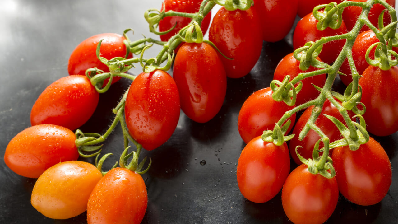Up to 5.80 euros per kilo wholesale. These tomatoes have reached record prices for two reasons